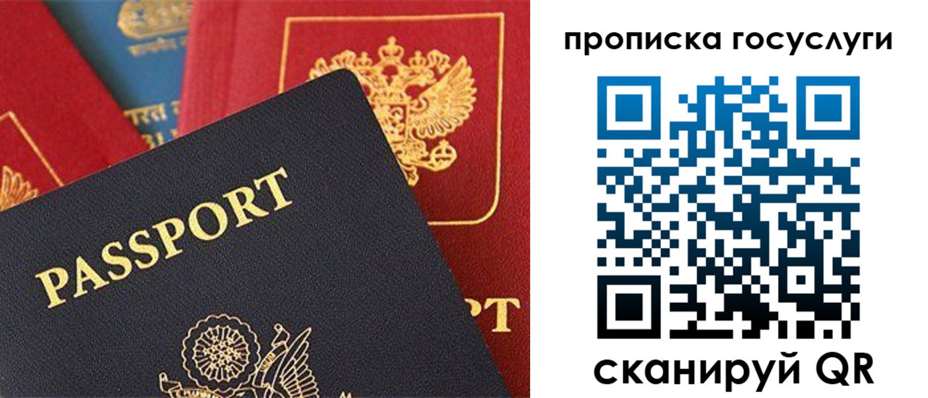 где прописаться в Алексине